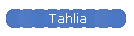 Tahlia